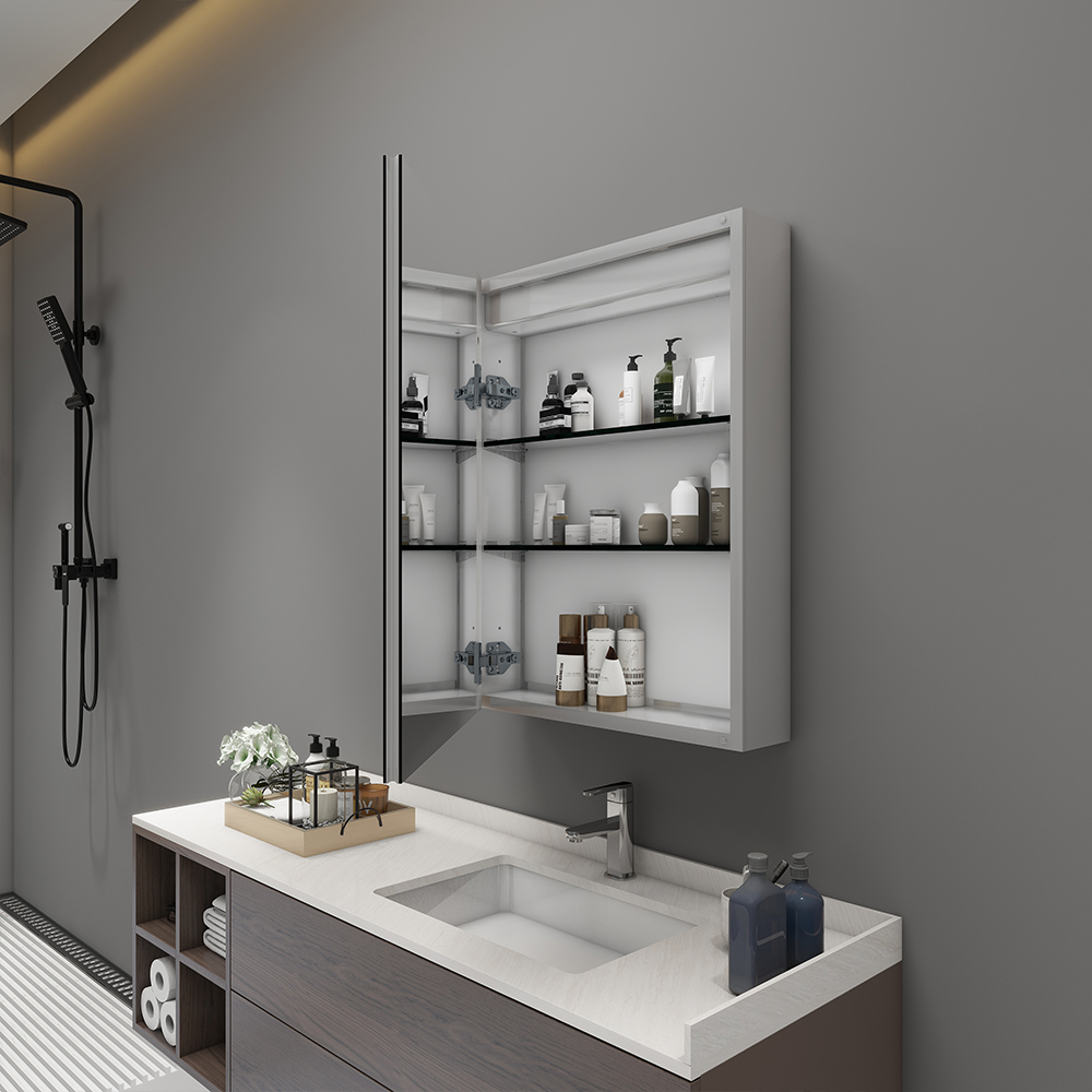 Surface and Recessed Mount Mirror Cabinet