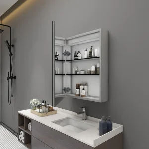 Surface and Recessed Mount Mirror Cabinet