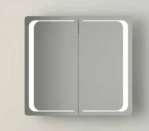the 2 Doors Medicine Cabinet With Hidden Wires