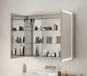 the Surface and Recessed Mount 2 Doors Cabinet