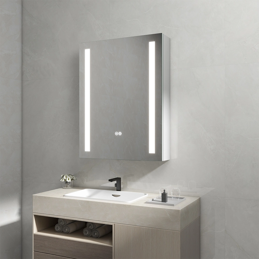 Surface and Recessed Mount Mirror Cabinet