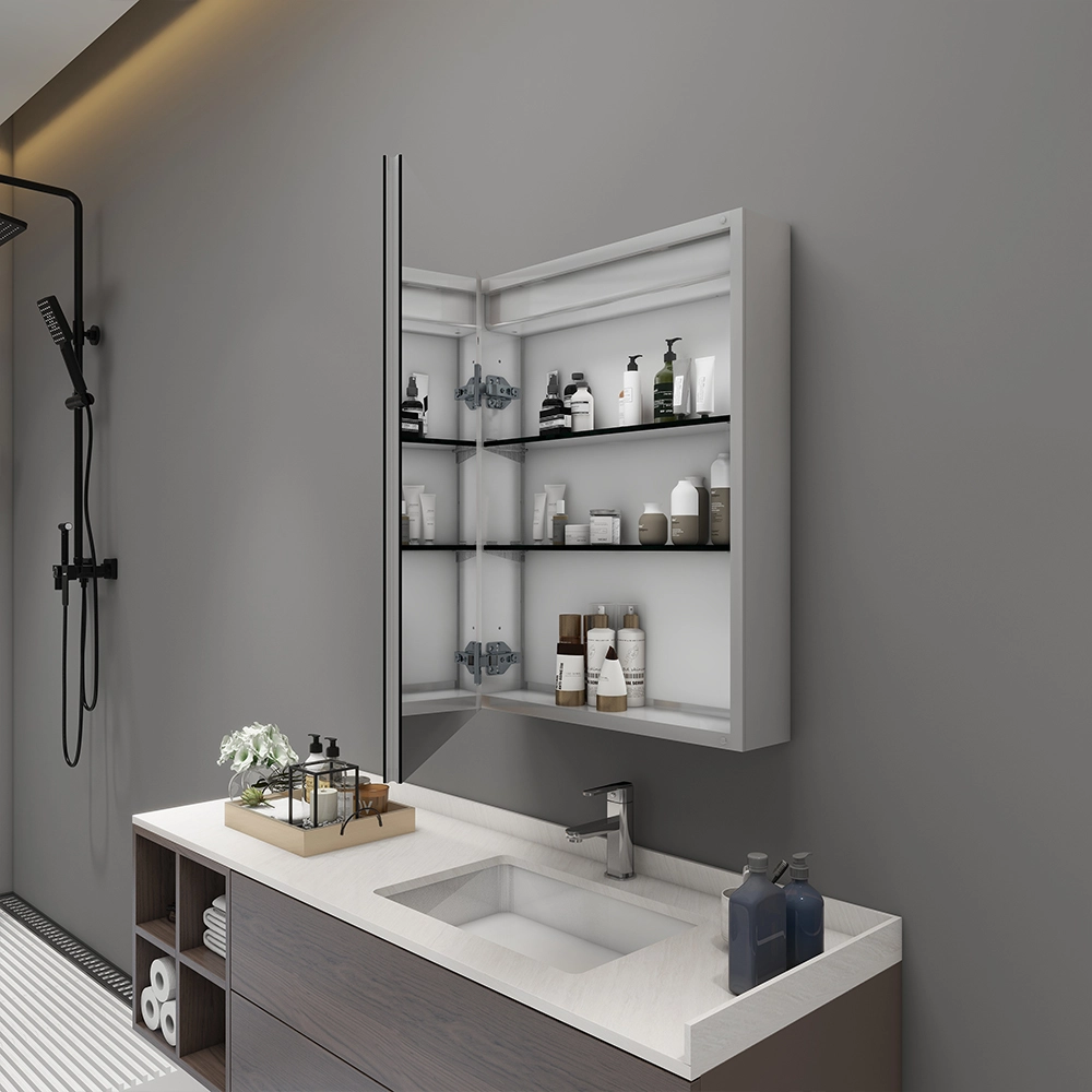 Surface and Recessed Mount Mirror Cabinet
